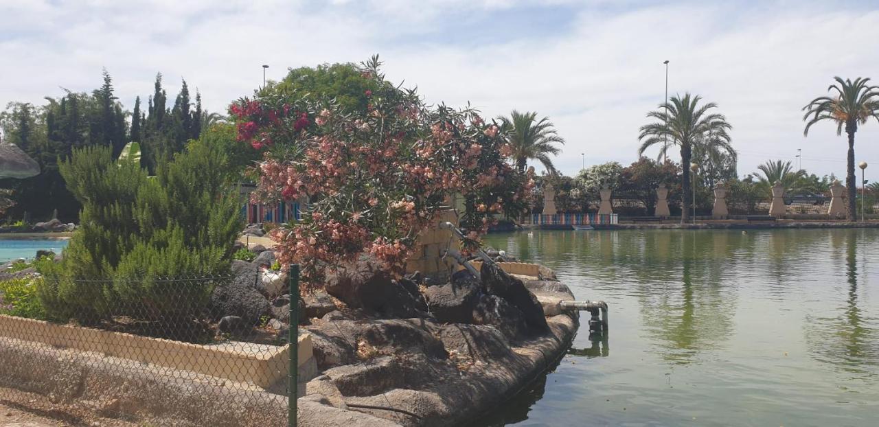 Schoene Wohnung Mit Pool , Wi-Fi Und Privat Garage Torrevieja Ngoại thất bức ảnh